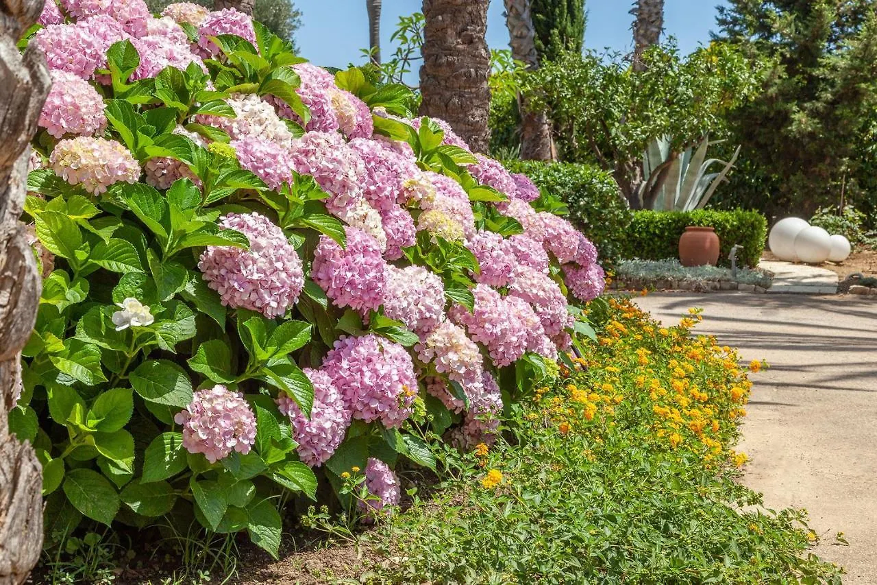 Il Giardino Degli Dei Villa San Leone
